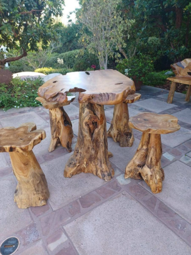 Teak root end table